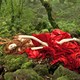photo du film Tale of Tales