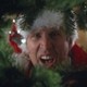 photo du film Christmas Vacation