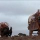 photo du film La Chair et le sang