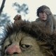photo du film Max et les Maximonstres