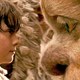 photo du film Max et les Maximonstres