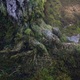photo du film Percy jackson : la mer des monstres