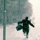 photo du film The Hunter
