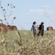 photo du film Un été à Osage County