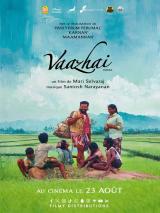 Vaazhai