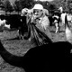 photo du film Taxi, roulotte et corrida