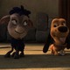 photo du film Blackie & Kanuto