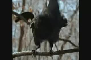 Extrait vidéo du film  Un Plan simple
