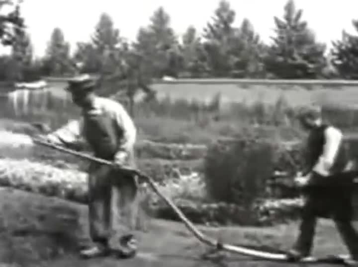 Extrait vidéo du film  L arroseur arrosé