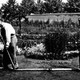photo du film L'arroseur arrosé