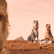 photo du film L'Île aux chiens