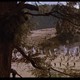 photo du film La Charge des Tuniques Bleues