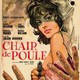 photo du film Chair de poule
