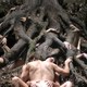 photo du film Antichrist