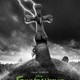 photo du film Frankenweenie