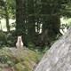 photo du film Le Paradis
