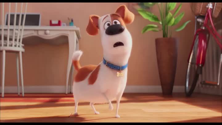 Un extrait du film  Comme des bêtes