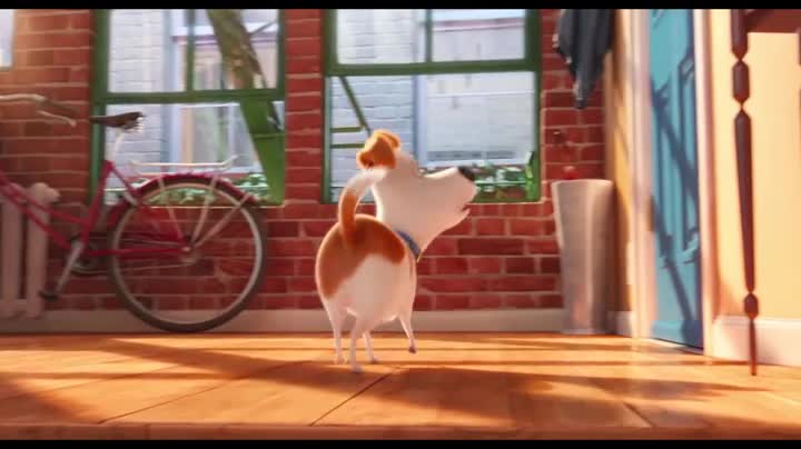 Un extrait du film  Comme des bêtes
