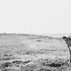 photo du film Rêve et silence