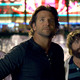 Voir les photos de Bradley Cooper sur bdfci.info
