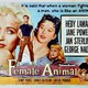 photo du film Femmes devant le désir
