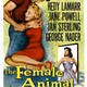 photo du film Femmes devant le désir