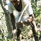 photo du film Ayurveda