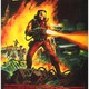 photo du film Exterminator II
