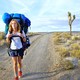 photo du film Wild