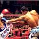 photo du film Fighting beauty