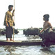 photo du film Gardien de buffles