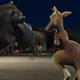 photo du film The Wild