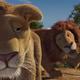 photo du film The Wild