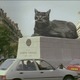 photo du film Le Lion volatil
