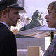 photo du film Le Lion volatil