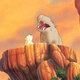 photo du film Plume, le petit ours polaire