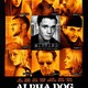 photo du film Alpha dog