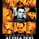 photo du film Alpha dog