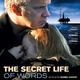 photo du film The Secret life of words