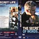 photo du film The Secret life of words
