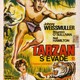 photo du film Tarzan s'évade