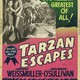 photo du film Tarzan s'évade
