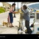photo du film Nicostratos le pélican