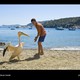 photo du film Nicostratos le pélican