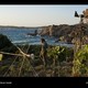 photo du film Nicostratos le pélican