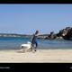 photo du film Nicostratos le pélican