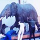 photo du film Un animal, des animaux