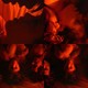 photo du film The Doom Generation