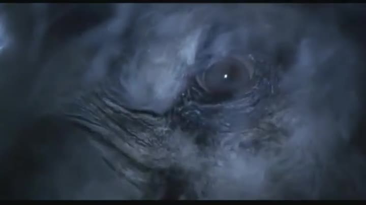 Extrait vidéo du film  Le Bison blanc