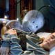 photo du film Casper